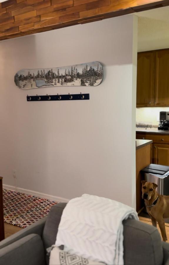Beaver Creek 2 Bed 2 Bath Condo 1 Min Walk To Elk Lot Avon Esterno foto